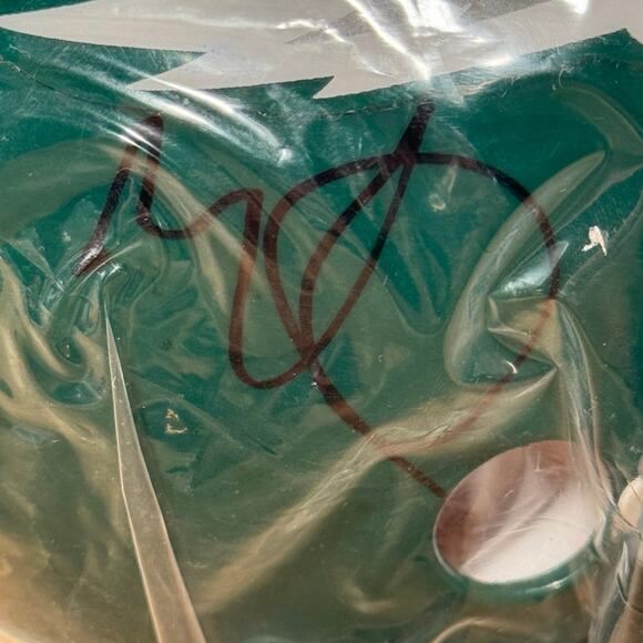 Mark Wahlberg INVINCIBLE‎ Philadelphia Eagles Signed Autographed MINI Helmet JSA - Picture 2 of 6